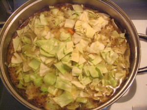 Cabbage Stew Recipe